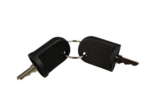 EZGO RXV Golf Cart Key (Set of 2)