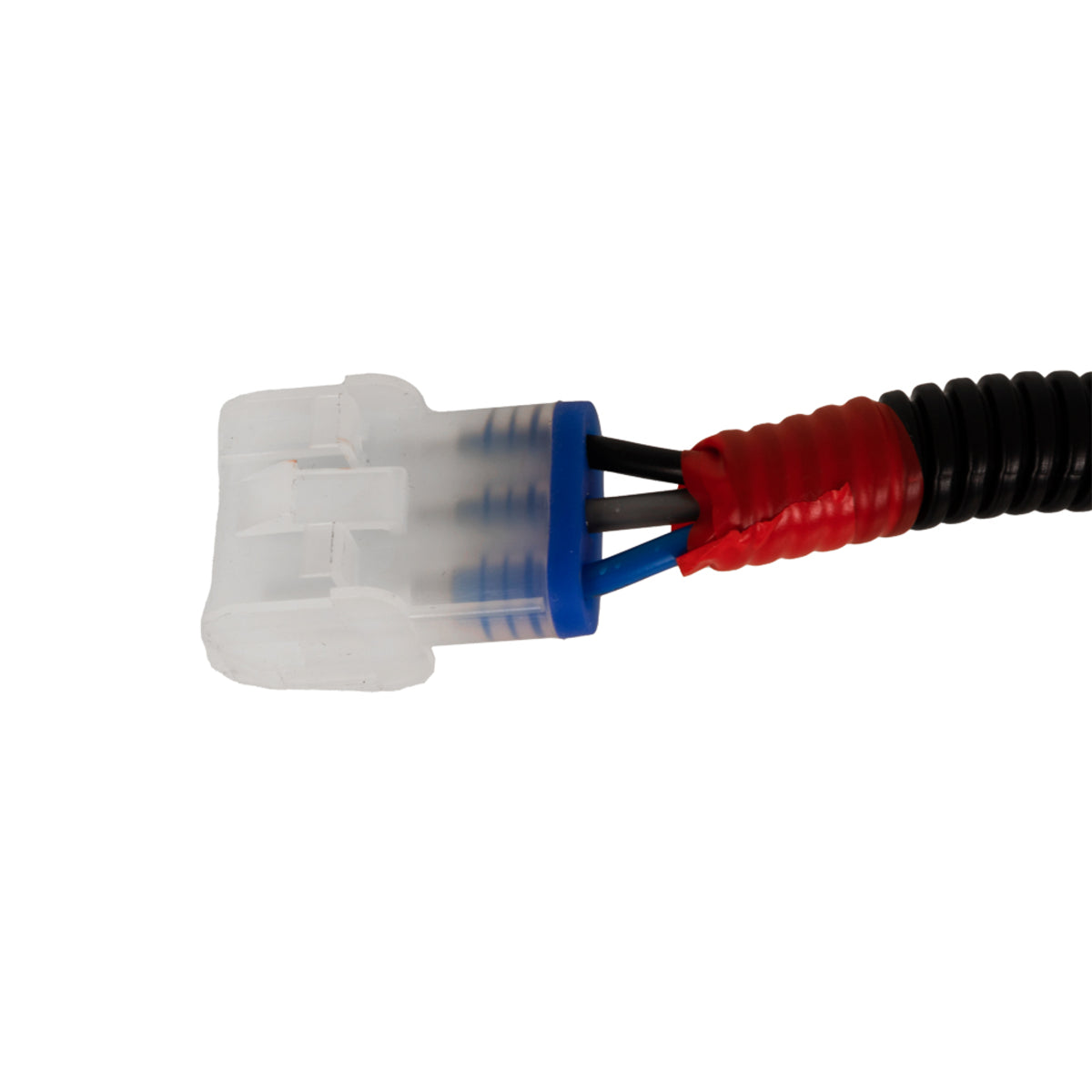 GTW LED Light Kit for EZGO RXV (Years 2016-Up)