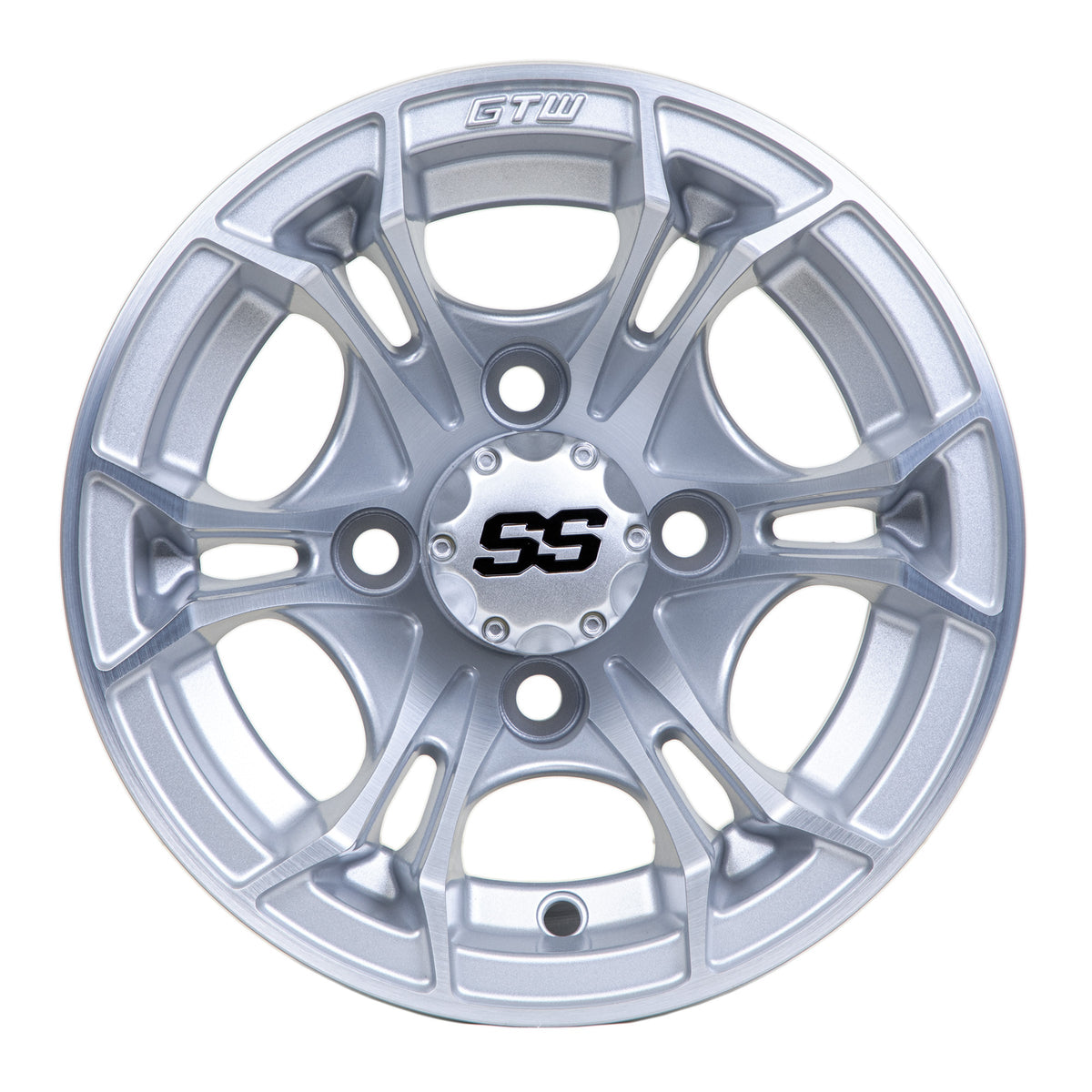 GTW Spyder Silver Brush 10 Inch Wheel