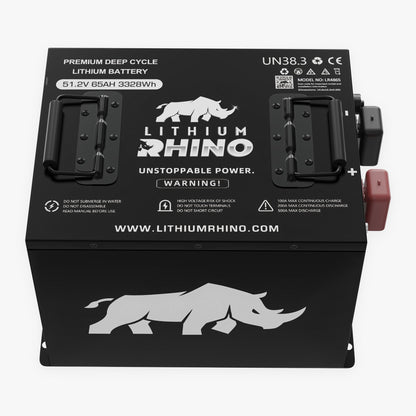 48V 65Ah Lithium Rhino Conversion Kit