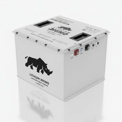 48V 170Ah Lithium Rhino 300a BMS Conversion Kit