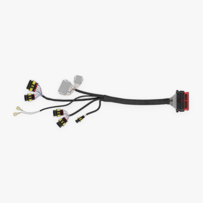 Lithium Rhino EZ-Go Txt Ac Conversion Kit