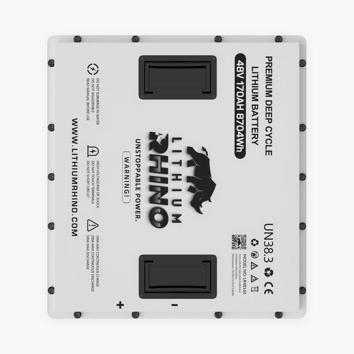 48V 170Ah Lithium Rhino 300a BMS Conversion Kit