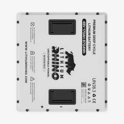 48V 170Ah Lithium Rhino 300a BMS Conversion Kit